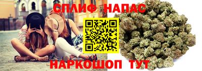 винт Дубна