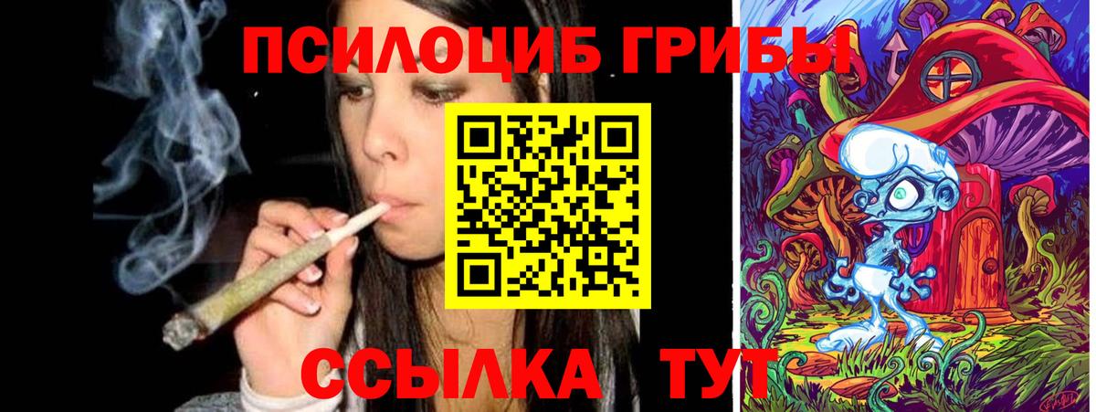 Псилоцибиновые грибы Cubensis  продажа наркотиков  Мурманск  Вход с VPN  Псилоцибиновые грибы Psilocybe 
