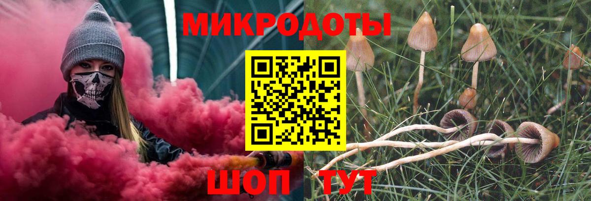 Галлюциногенные грибы прущие грибы Мурманск